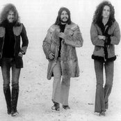 Toad - List pictures