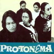 Protonema - List pictures