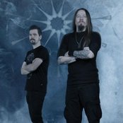 Vintersorg - List pictures