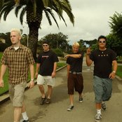 Brodie - List pictures