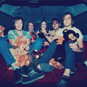 Bear Attack - List pictures