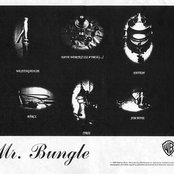 Mr. Bungle - List pictures