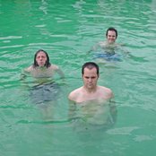 The Black Swans - List pictures