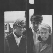 Beach Boys - List pictures
