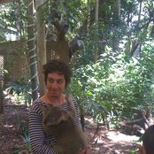 Adam Green - List pictures