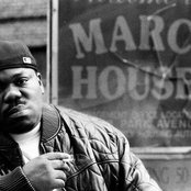 Beanie Sigel - List pictures
