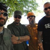 Eels - List pictures