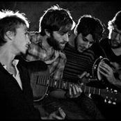 Husky - List pictures