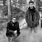 Xysma - List pictures