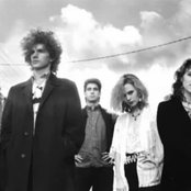 Game Theory - List pictures