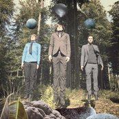 Puggy - List pictures