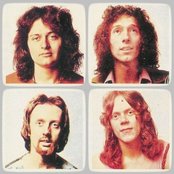 Rare Bird - List pictures