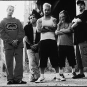 Flaw - List pictures