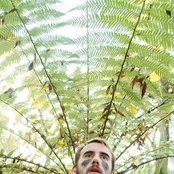 Pablo Und Destruktion - List pictures