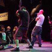 Nuclear Rabbit - List pictures