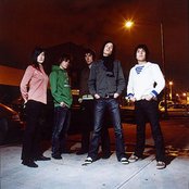 The International Noise Conspiracy - List pictures