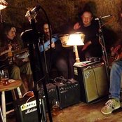 The Amber Herd - List pictures