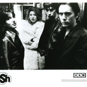 Lush - List pictures