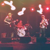 Whitewash - List pictures