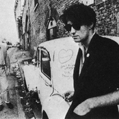 The Jazz Butcher - List pictures