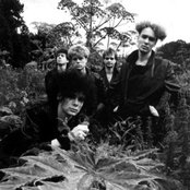 Fair Sex - List pictures