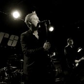 Baby Bird - List pictures