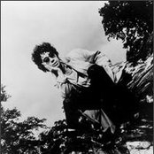 World Party - List pictures