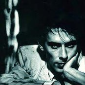 Peter Murphy - List pictures