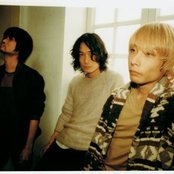 Does - List pictures