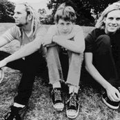 Radish - List pictures