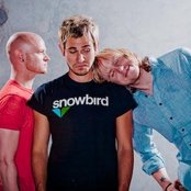 Lifehouse - List pictures