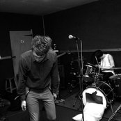 Wild Palms - List pictures