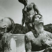 Young Gods - List pictures