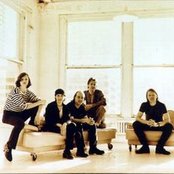 Walkabouts - List pictures