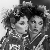Toni Basil - List pictures