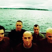 Stavesacre - List pictures