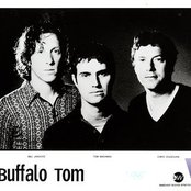 Buffalo Tom - List pictures