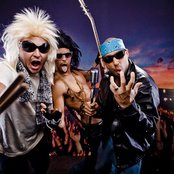 Pepper - List pictures