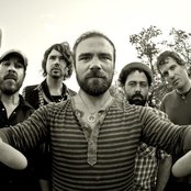 Alpha Rev - List pictures