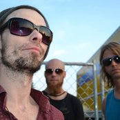 Days Of The New - List pictures