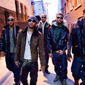 Brutha - List pictures