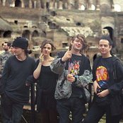 The Cranes - List pictures