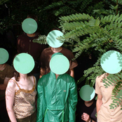 The Hidden Cameras - List pictures