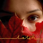 Laleh - List pictures