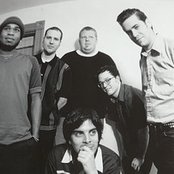 Mustard Plug - List pictures