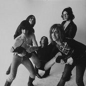Stooges - List pictures