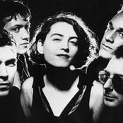 Popguns - List pictures