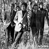 Yardbirds - List pictures