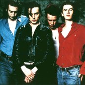 The London Suede - List pictures