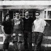 Screeching Weasel - List pictures